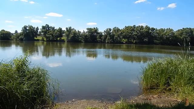 👍🎣ПОПЛА-ПОППЕР УЛЁТНАЯ ТЕМА смотреть онлайн