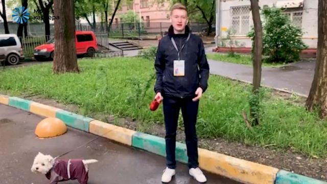 Поздравляем с днем социального работника! смотреть онлайн