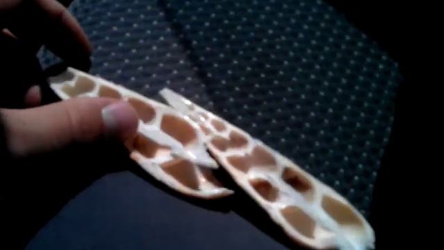 Ракушка в разрезе смотреть онлайн