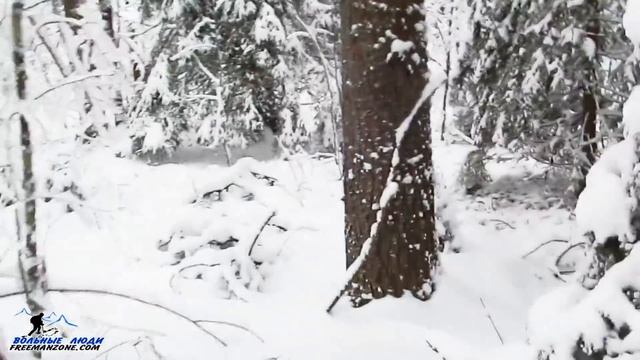 ВЫЖИВАНИЕ при БП. ЧАС Х. Что делать при катастрофе, как выжить при БП. Выживание в лесу при БП. смотреть онлайн