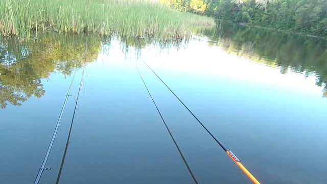 Карась на поплавок! Ловля карася на лесном озере на поплавок с лодки. смотреть онлайн