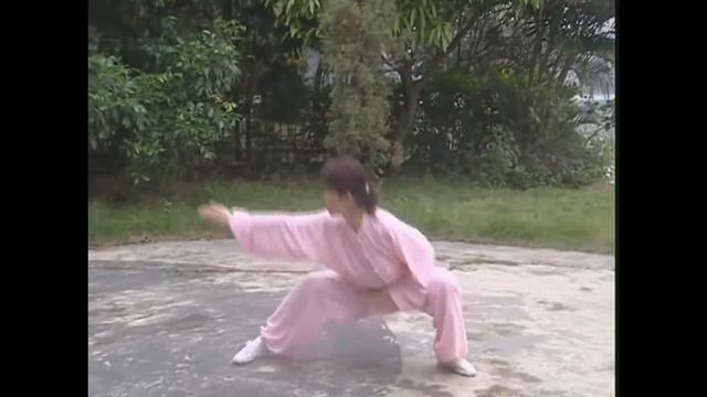 BaGua Zhang 8 Mother Palm Training 1 : Single Palm Change 八卦母掌-单换掌 смотреть онлайн