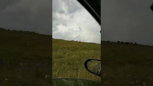 Нижегородская область деревня медяна ,по полям на рыбалку) смотреть онлайн