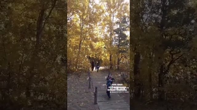 Тропа Западный Котлин, осень 2021 г. смотреть онлайн