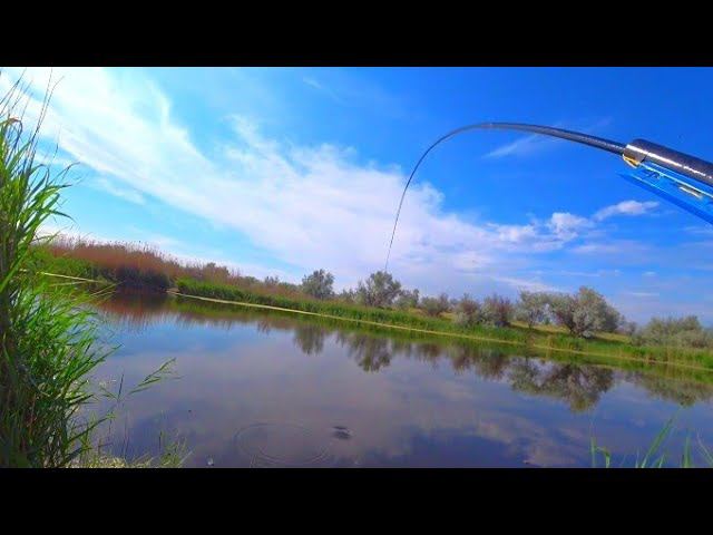 ЛЮТЫЙ ЖОР КРУПНЯКА ПОД НОГАМИ !!! НА УДОЧКУ! РЫБАЛКА НА ПОПЛАВОК смотреть онлайн