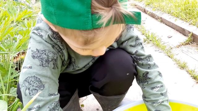 ""Ландшафтный дизайн"" в кавычках. Худая коза. смотреть онлайн
