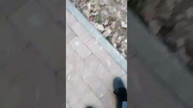 Вот как надо гулять и угарать смотреть онлайн