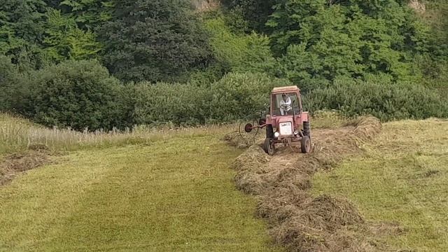 Грабли. Сенокос Трактор т-25 смотреть онлайн