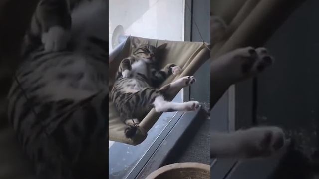 болдеет. mp4 смотреть онлайн