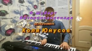 Ф. Шуберт. Вечерняя серенада. Исполняет Коля Юнусов.