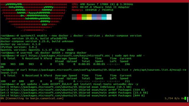 How To Run SQL Server Container images with Docker On Ubuntu 20.04 LTS смотреть онлайн
