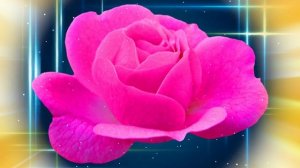 Футаж. Цветочный фон 106