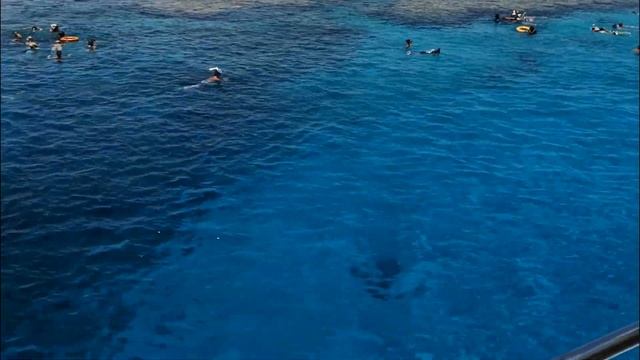 ??SHARM EL SHEIKH - Egypt |Шарм-эль-Шейх |   شرم الشيخ | Aqua Blu | Reef Oasis Blue