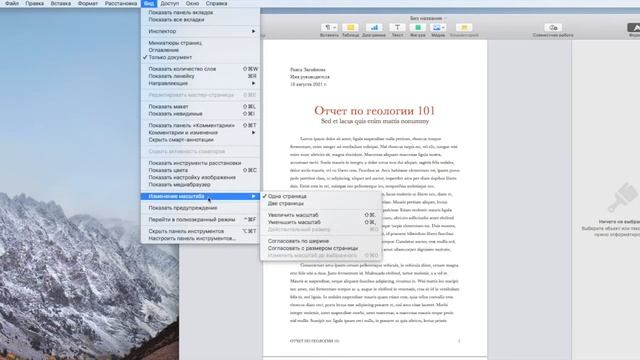 Увеличение масштаба в Pages смотреть онлайн