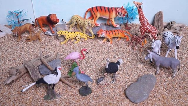 Animals of Africa. Video for children.Животные Африки. Видео для детей. смотреть онлайн