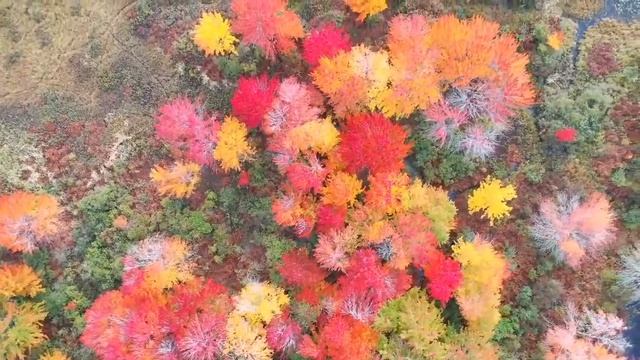 Музыка для стрима без авторских прав смотреть онлайн