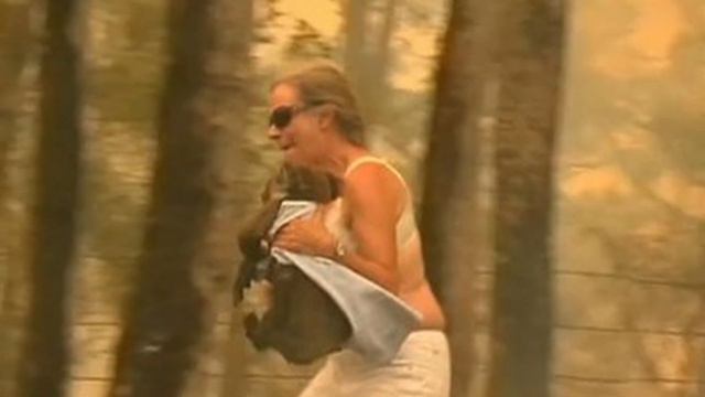 L'FREAQ Into My Arms Blind Chihuahua смотреть онлайн