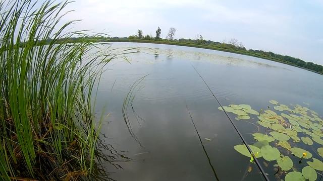 Ловля на поплавочную удочку .Секреты ловли! смотреть онлайн