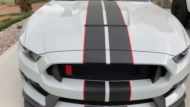 The Lineup! Raptor - 4Runner TRD Pro - Shelby GT350R! смотреть онлайн