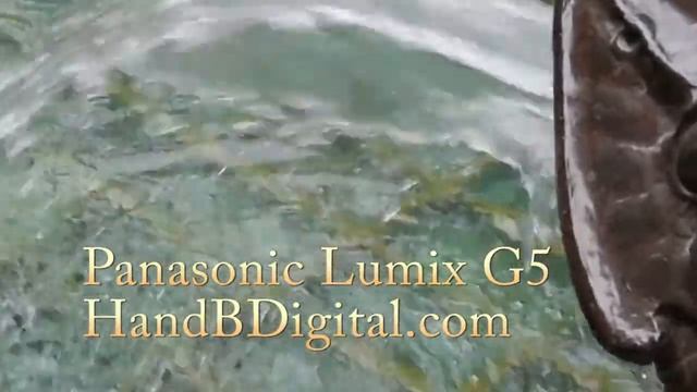 Panasonic Lumix G5 Video смотреть онлайн