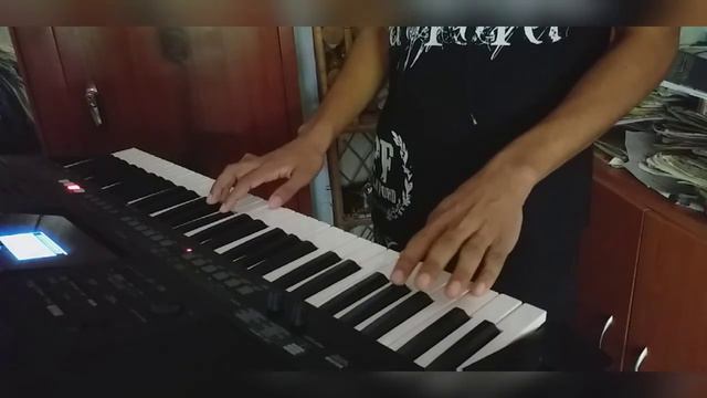 Kameliya mal (Cinderella) yamaha psr E 463 keyboard cover смотреть онлайн