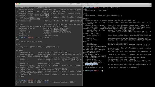 Using Trivy in client server mode смотреть онлайн