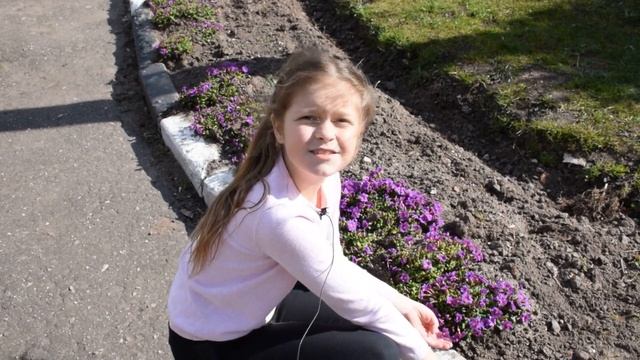 Виртуальная экскурсия на природу. Весна в жизни растений смотреть онлайн