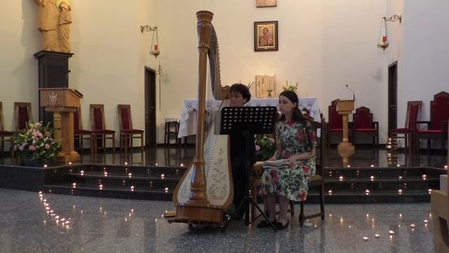 Maria Bildea Harp plays Sonata in C minor K 11 L352 смотреть онлайн