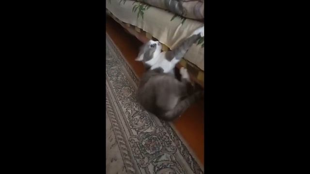 Обычное утро. Зарядка от Маси! Матильда помогает убирать кровать! смотреть онлайн