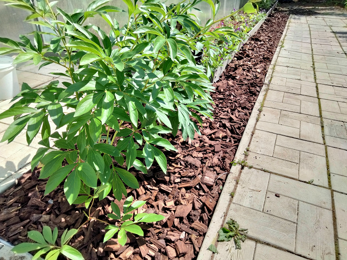 Когда не удобно косить и не хочется полоть смотреть онлайн