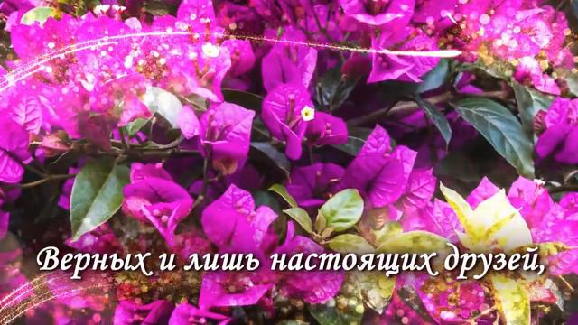 С Юбилеем, Аллочка! смотреть онлайн