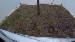 Легкая зимняя палатка своими руками