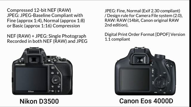 Nikon D3500 vs Canon Eos 4000D - WHICH IS BETTER FOR PHOTOGRAPHY ? смотреть онлайн