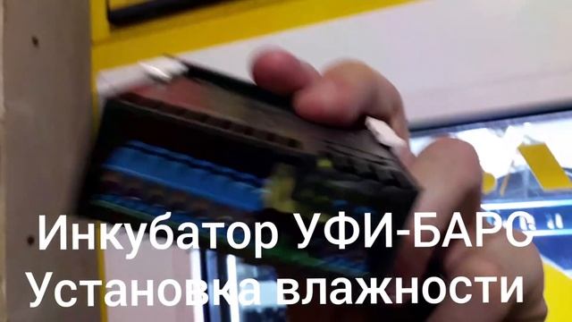 Инкубатор УФИ-БАРС. Установка влажности смотреть онлайн