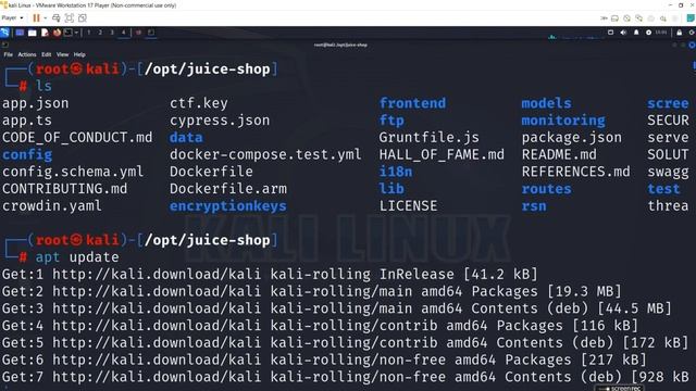 How to install juice-shop in kali linux | installing juice-shop in kali successfully | no error смотреть онлайн