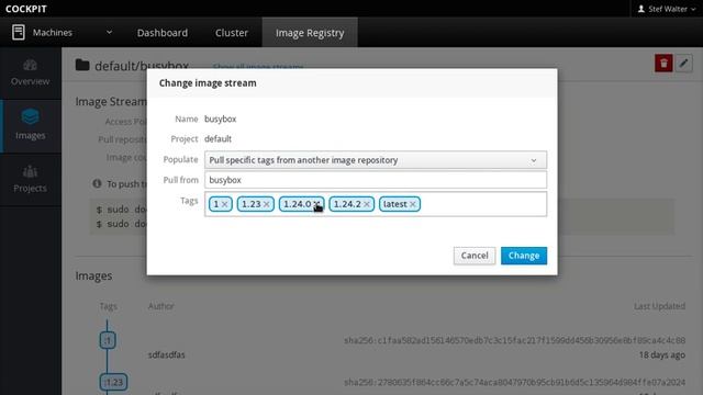 Image Registry Mirroring Specific Tags смотреть онлайн