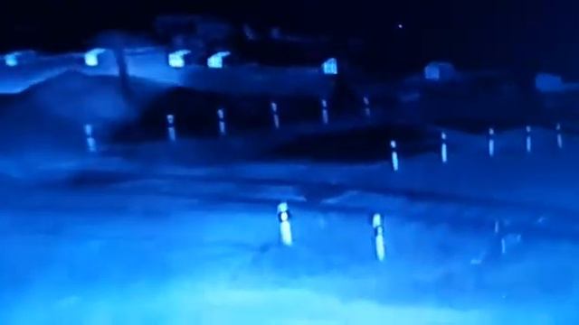 Волки и собака смотреть онлайн