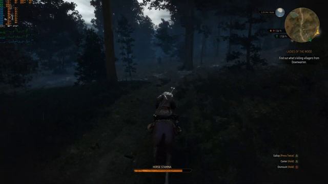 The Witcher 3 - 4K - LOW - i7 6700k смотреть онлайн