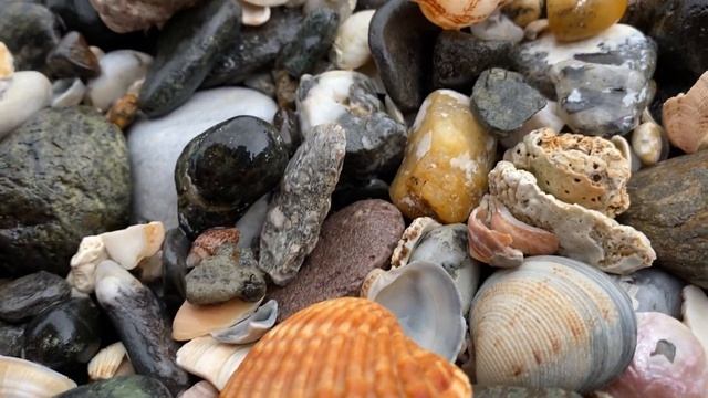 Рождество в Испании | Дома знаменитостей | Зимний пеший поход смотреть онлайн