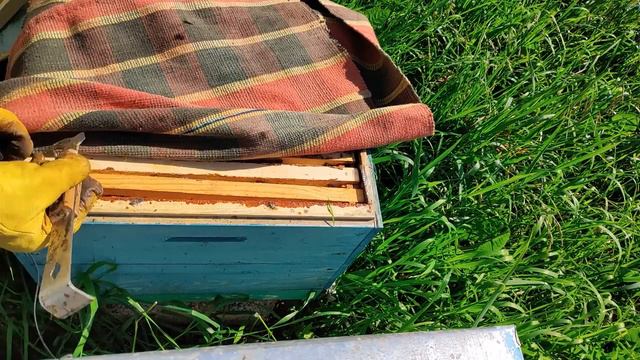 3 июля безрасплодный отводок смотреть онлайн