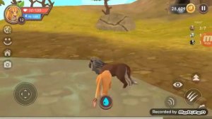 Король Лев 2