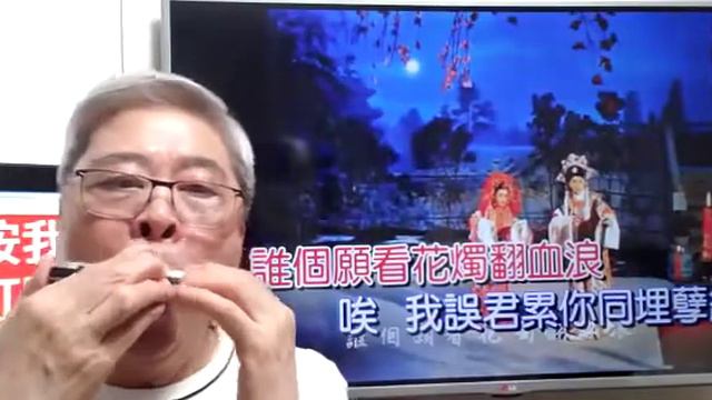 帝女花之香夭(口琴伴奏卡拉OK) Michael Gor смотреть онлайн