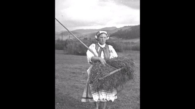 Ай, Олено, Олено! смотреть онлайн