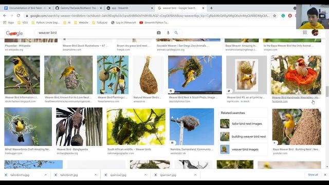 นกกระจิบ นกกระจอก นกกระจาบ : One Day AI Project! смотреть онлайн