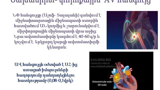 Դաս 9 0 ԷՍԳ։ Սրտի հաղորդչական համակարգը։ смотреть онлайн