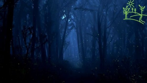 Ночное пение соловья Соловей Сверчок и Лягушки