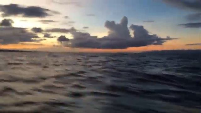 Вечерняя морская прогулка смотреть онлайн