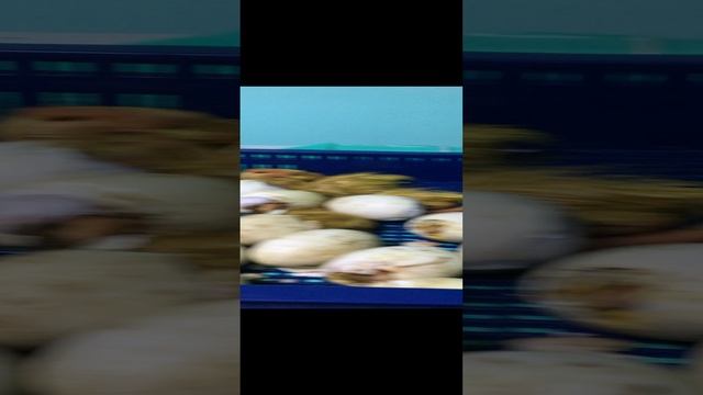 2023-03-14 смотреть онлайн