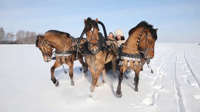 Ямщик, не гони лошадей Поёт Владимир Евтодеев смотреть онлайн
