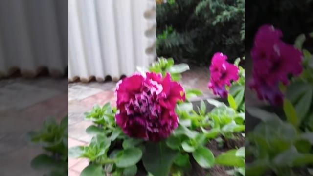 Топас, Юнилос-Астра монтаж # отзывы смотреть онлайн